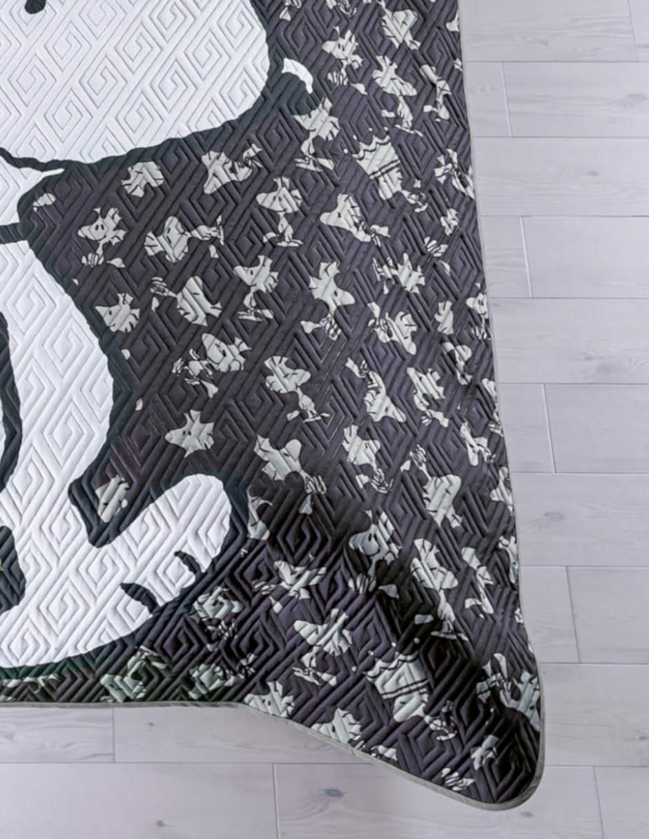 Set de colcha Concord Snoopy