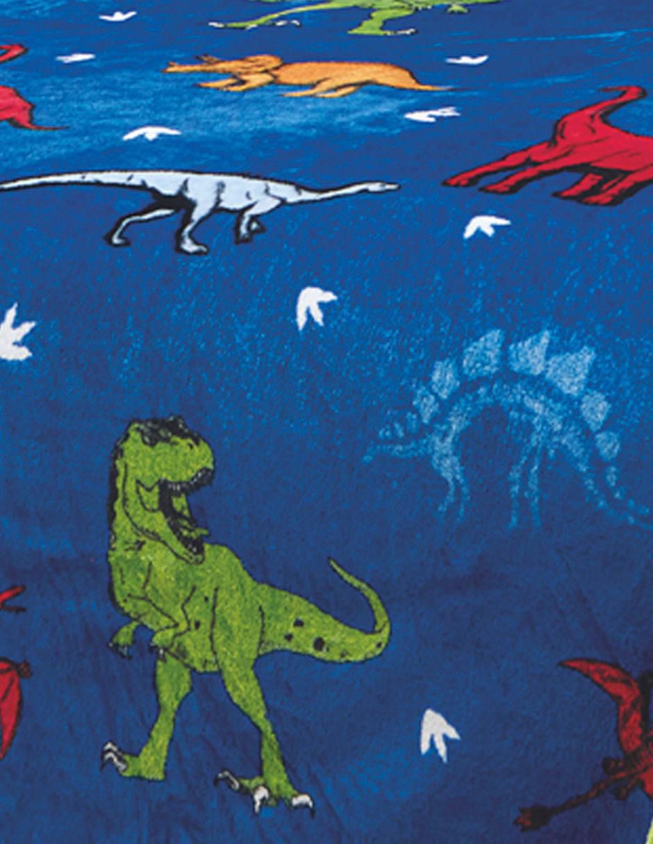 Cobertor   estampado dinosaurio 3