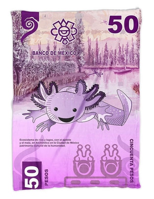 Frazada Ajolote Ajolote Billete de 50 Ajolopesos