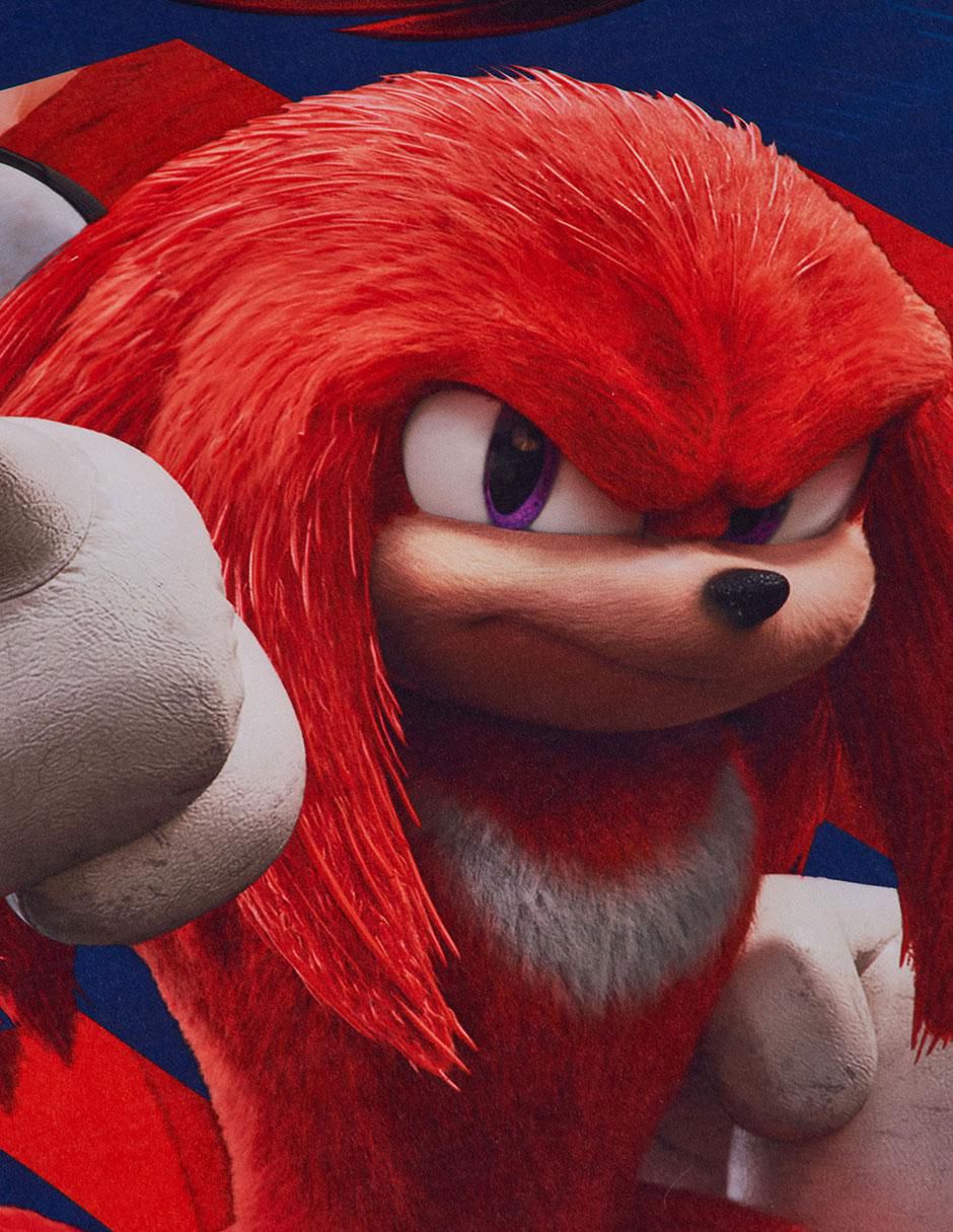 Set edredón Sonic 6