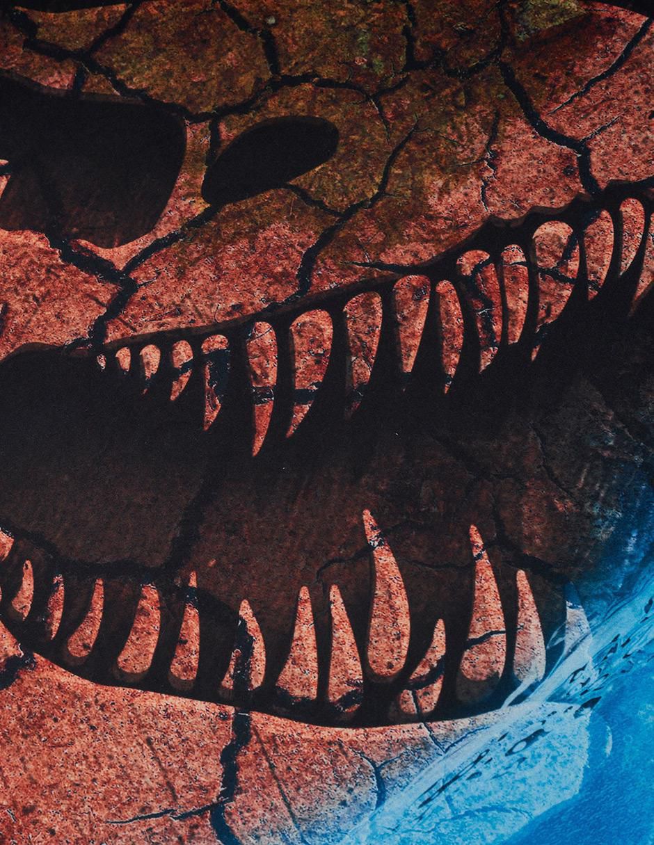 Set edredón Providencia Jurassic World Rebirth 6
