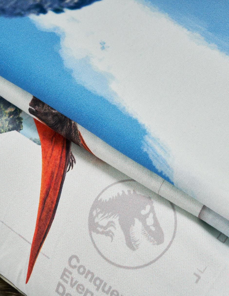Set edredón Providencia Jurassic World Rebirth 8