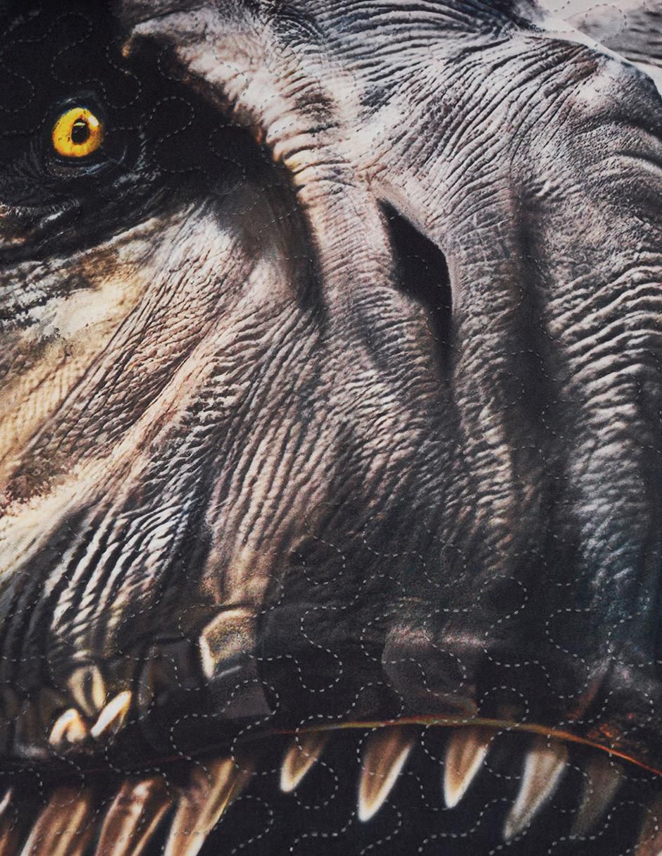 Set de colcha Providencia Microfibra Jurassic World Rebirth