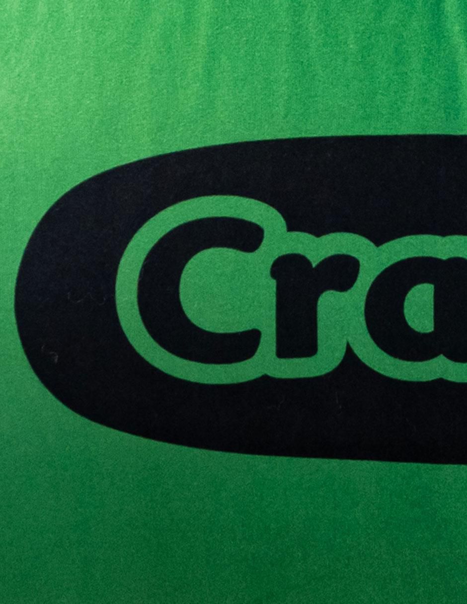 Almohada Crayola Verde firmeza media 3