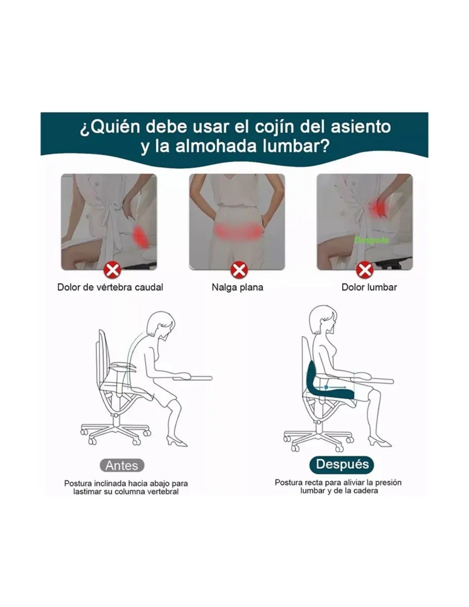 Cojín de respaldo estampado Falso liso