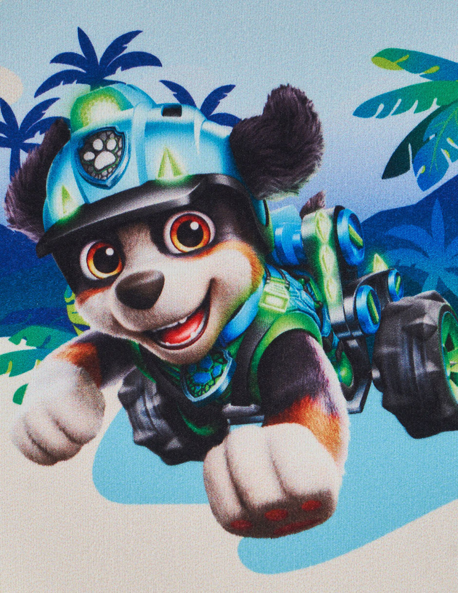 Set edredón Microfibra Roar Paw Patrol 9