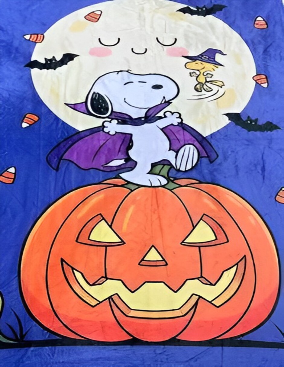 Frazada de tejido suave snoopy Frazada de tejido suave snoopy